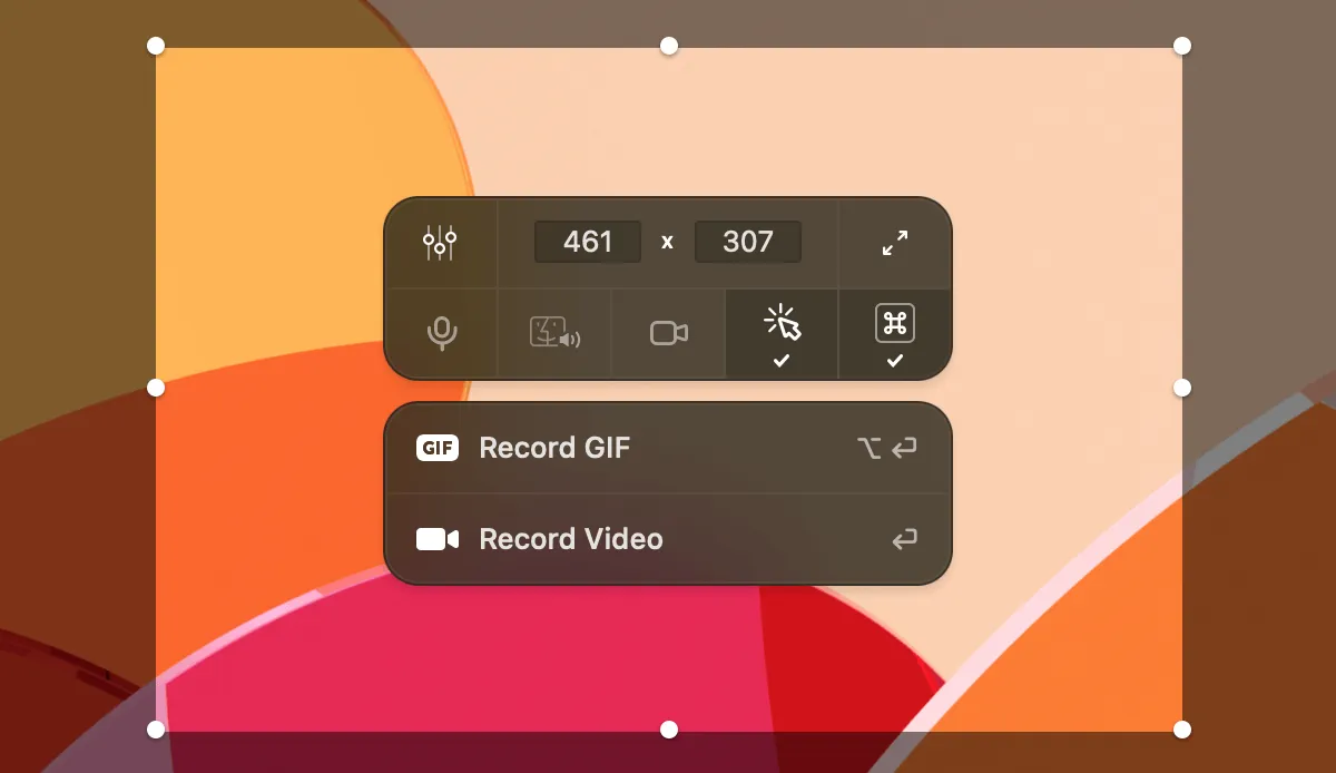 CleanShot X area capture interface with Record GIF and Record Video controls