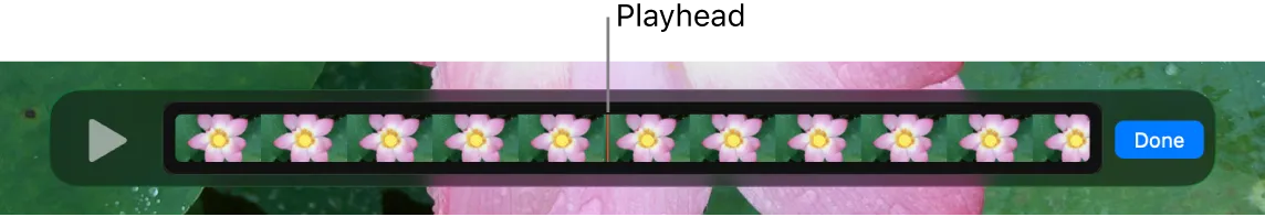 Apple illustration of the QuickTime Player clip editor with the playhead positioned in a clip